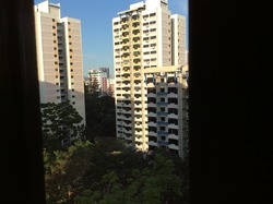 Blk 86 Whampoa Drive (Kallang/Whampoa), HDB 3 Rooms #174040692
